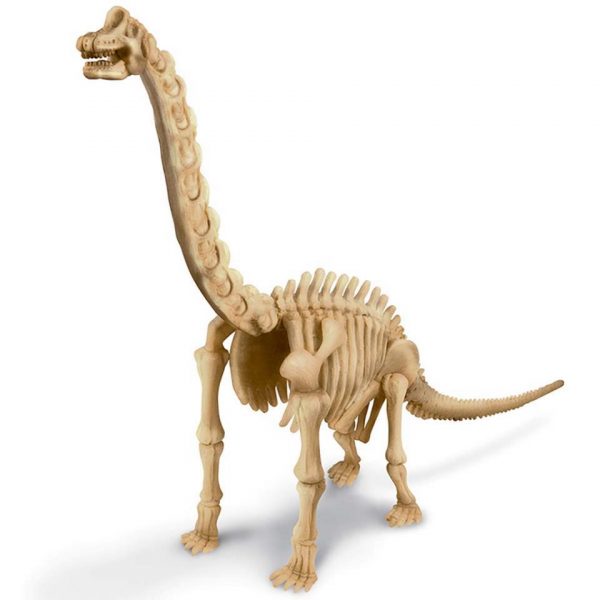KIDZLABS KIT GEOLOGICO DE UN BRACHIOSAURUS