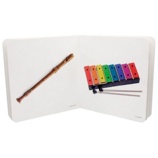 INSTRUMENTOS MUSICALES