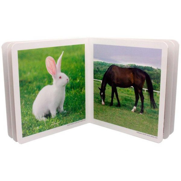 LOS ANIMALES DE LA GRANJA