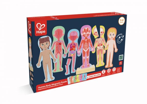 ROMPECABEZAS MAGNETICO DEL CUERPO HUMANO