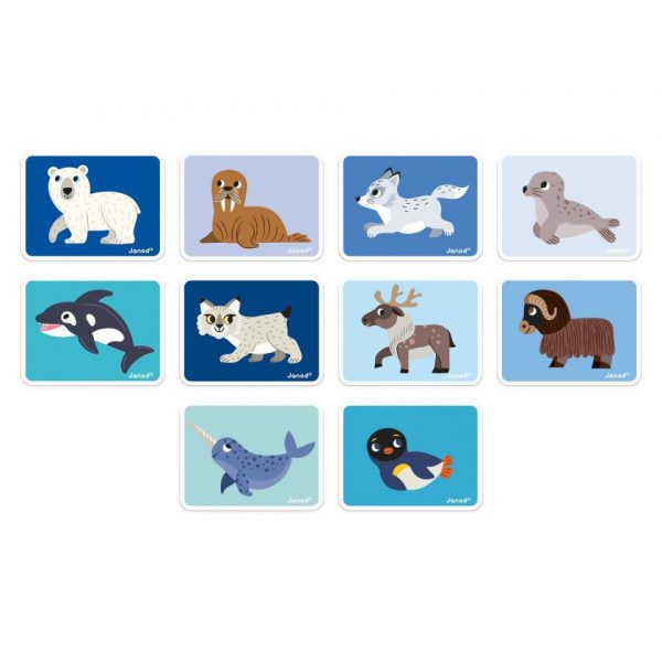 MAGNETI´BOOK ANIMALES POLARES