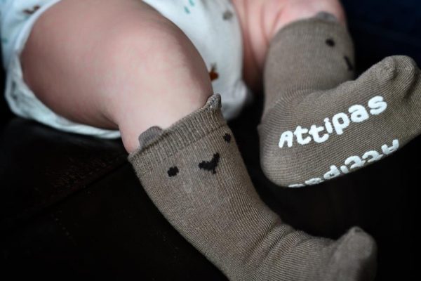 ANIMALS ANTI-SLIP SOCKS TALLA S