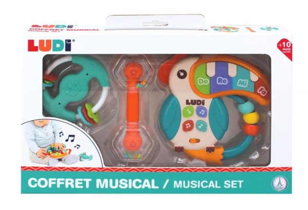 CONJUNTO MUSICAL