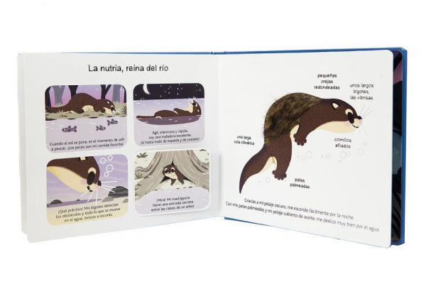 LOS ANIMALES NOCTURNOS