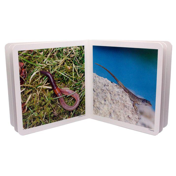 ANIMALITOS - Imagen 3