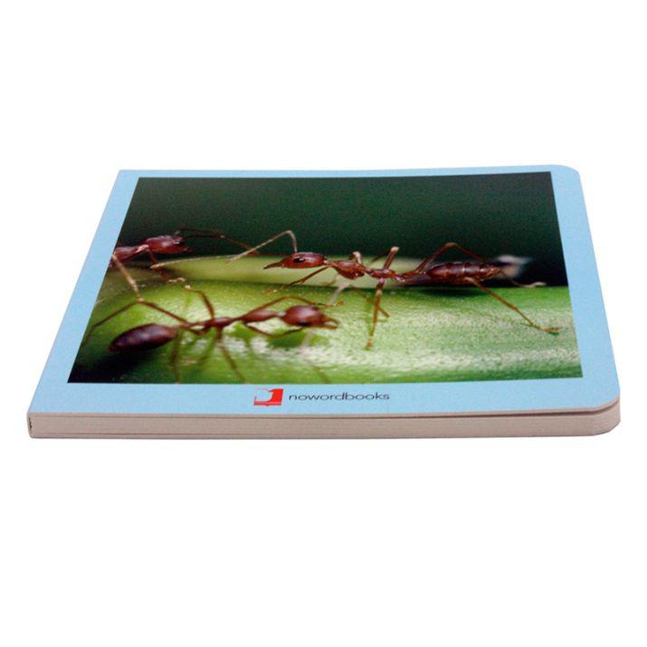 ANIMALITOS - Imagen 4