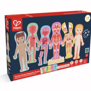 ROMPECABEZAS MAGNETICO DEL CUERPO HUMANO