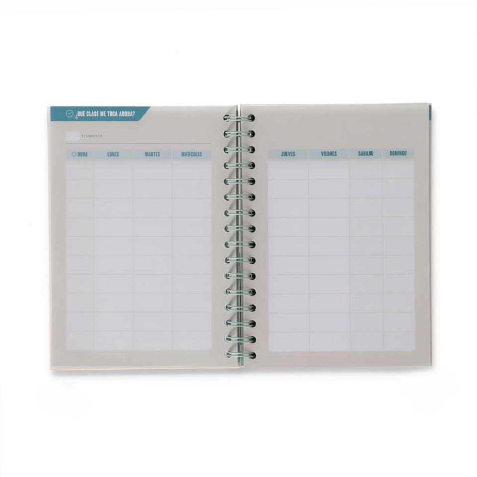 PLANIFICADOR SEMANAL PROFE CON MUCHA TAREA