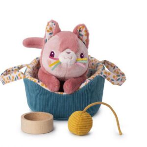 JEANNE EL GATO Y SU CESTA 