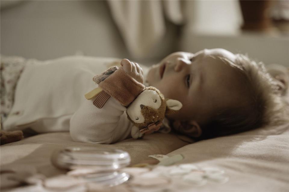 ONAJERO DE MUÑECA FAIRY GARDEN LITTLE DUTCH